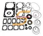 Complete Gasket Kit HS-711178C