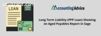 Complete Guide: Long Term Liability PPP