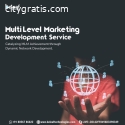 Cryptocurrency MLM software development