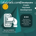Cryptocurrency Payment Gateway Developme