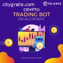 Custom Crypto Trading Bot