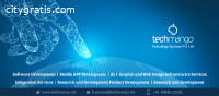 Custom Software Development Company - Te