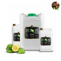 Cypress Essential Oil: