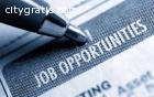 Data Entry Typists Required For Immediat