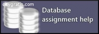 Database Assignment Help