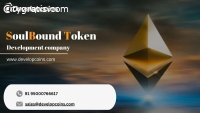 Design your own bug free Soulboud token