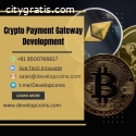 Develop a Cryptocurrency Payment Gatewa