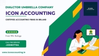 Director Umbrella Company - Accounting C