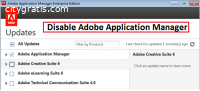 Disable Adobe Application Manager | Call
