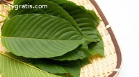 Does Kratom Help With Pain Relief?