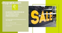 Drive Revenue with Experienced Sales Pro