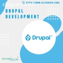 Drupal Development Services