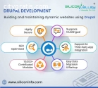 Drupal Web Development India
