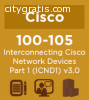 Dumps4download Cisco 100-105 Dumps