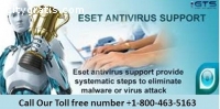 E-Set Antivirus Support +1-800-463-5163