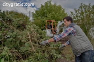 Earl's Oak Ridge Tree Service