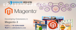 Ecommerce/Magento Website Development Co