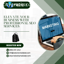 Elevate Your Business with Professional