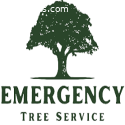 Emergency Tree Service Atlanta