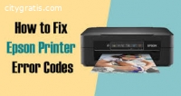 Epson Printer Error Code 0XE5