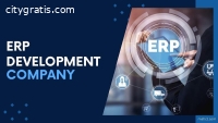 ERP Development Company