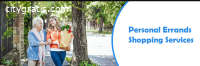 Errands Shopping by True Care Giving