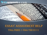 Essay Assignment Help | USA