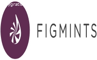 Figmints Digital Creative