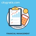 Finance Management System - Genius Edu