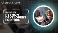 Finding Top Python Developers for Hire