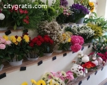 Flower Shop Cyprus