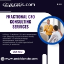 Fractional CFO Consulting Services in FL