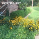 Galvan Landscape Inc.