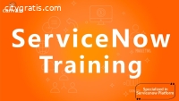 Get servicenow training online