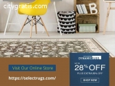 Get the Discount on Dynamic Area Rugs