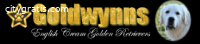 Goldwynns – Take Home Your Furry Friend