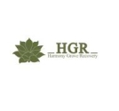 HGR Drug Rehabs