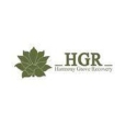 HGR Drug Rehabs