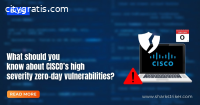 high-severity zero-day vulnerabilities?