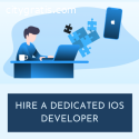Hire An Expert iOS Developer