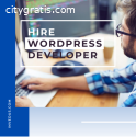Hire An Expert WordPress Developer