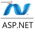 Hire ASP Programmer Services