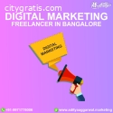 Hire best digital marketing freelancer i