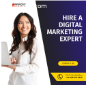 Hire Dedicated Digital Marketing Expert