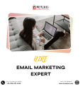 Hire Dedicated Email Marketing Experts