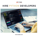 Hire Expert Python Developers