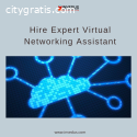 Hire Expert Virtual Networking Assistant
