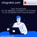 Hire Professional Python Developers in I