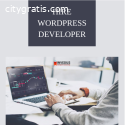 Hire Professional WordPress Developers