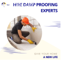 Hire the Best Damp Proofing Experts
